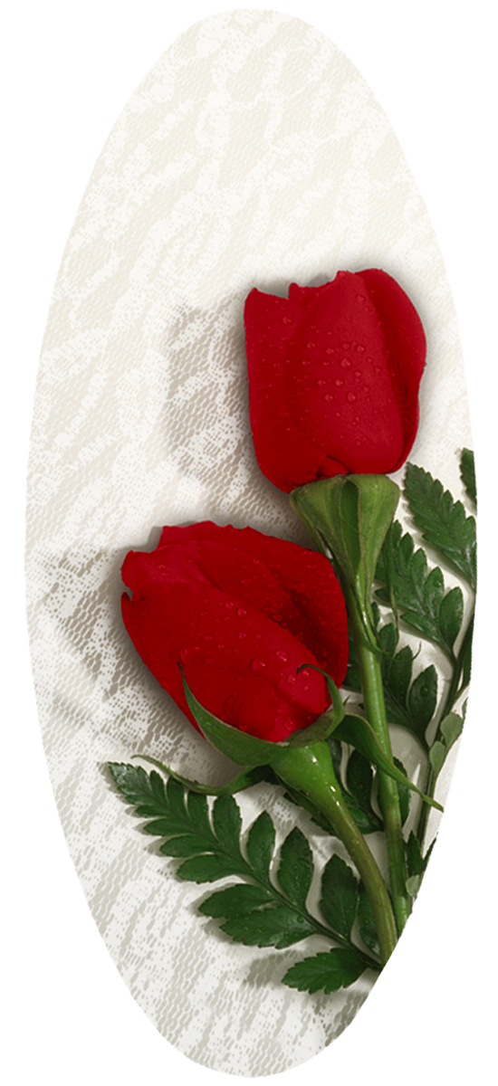 2 Red Roses White Lace PROOF